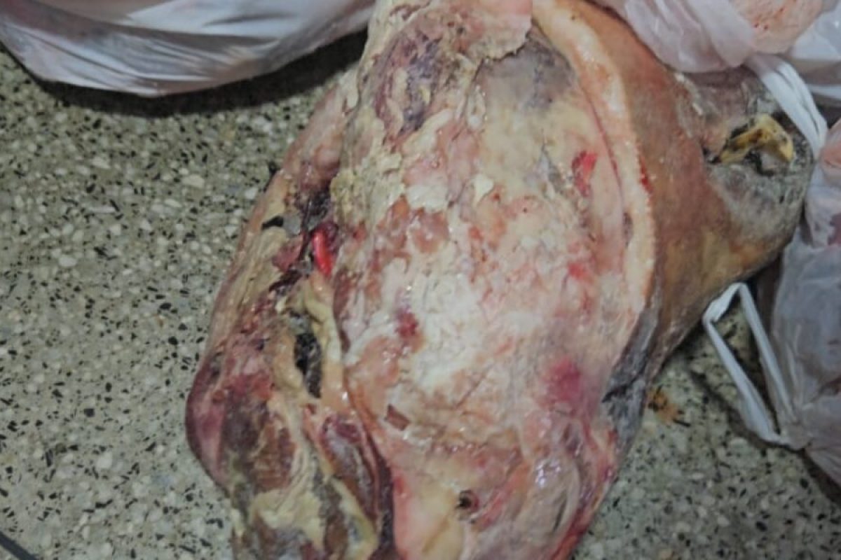 Carne Estragada Nordeste Goiano