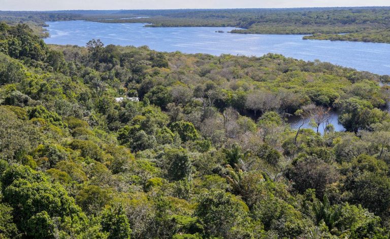 Desmatamento na Amazônia cai 30,6% com menor área desmatada desde 2013