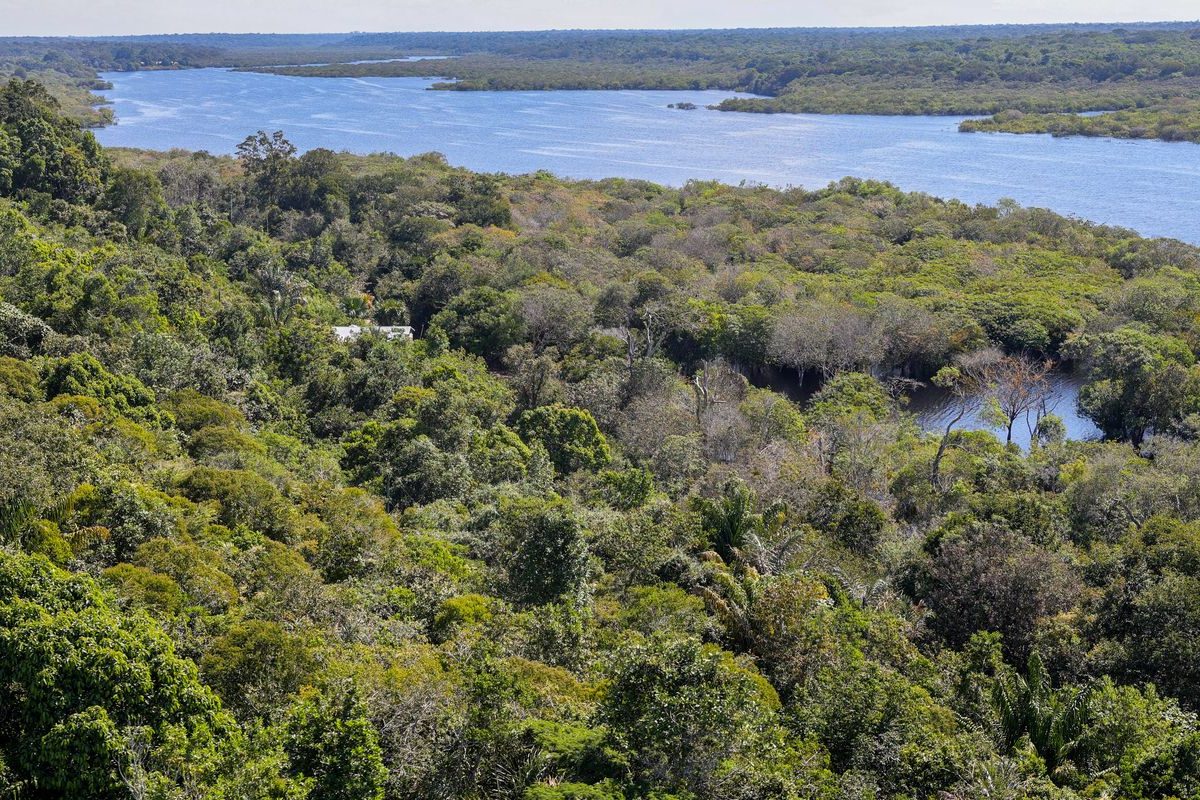 Desmatamento na Amazônia cai 30,6% com menor área desmatada desde 2013
