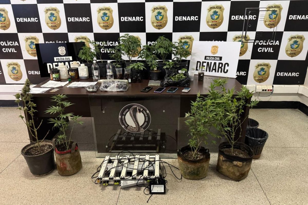 Maconha PC