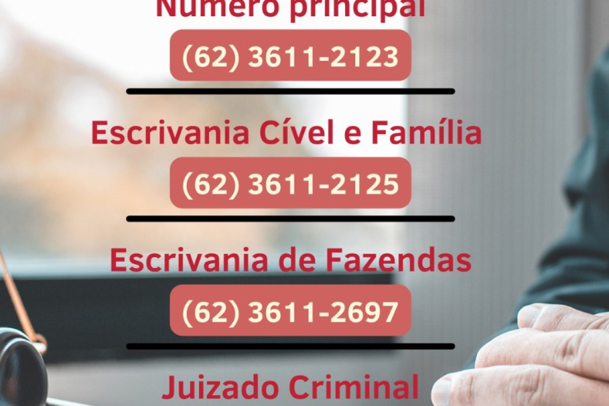 WhatsApp-Image-2024-11-08-at-21.08.28.jpeg